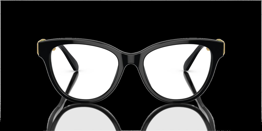 0SK2004__1001__P21__shad__fr