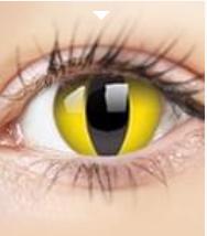 Captura de pantalla (117)